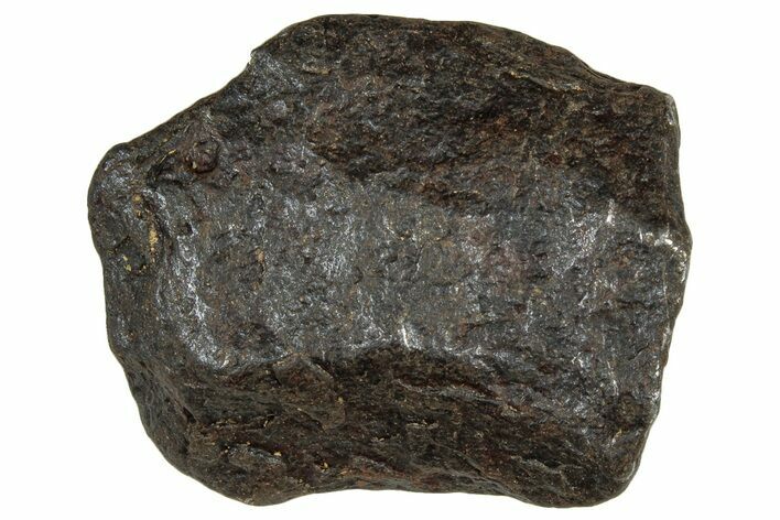 Canyon Diablo Iron Meteorite ( g) - Arizona #303495